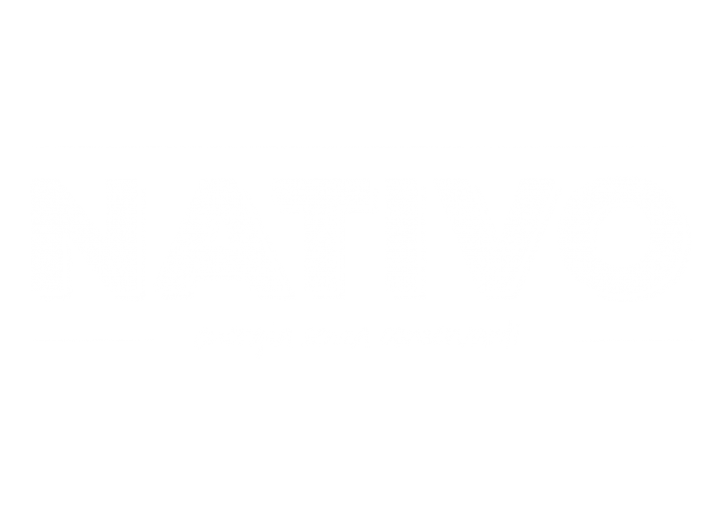 Non categorizzato Archives - Nativo Energy